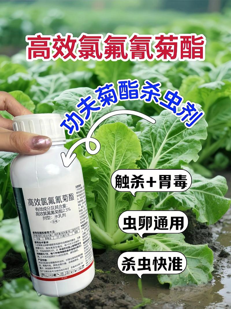 丹东代生中心:农药对供卵代生妈妈的危害